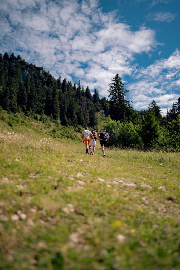 Two hikers trekking through lush greenery under a vibrant blue sky in Bavaria, Germany.