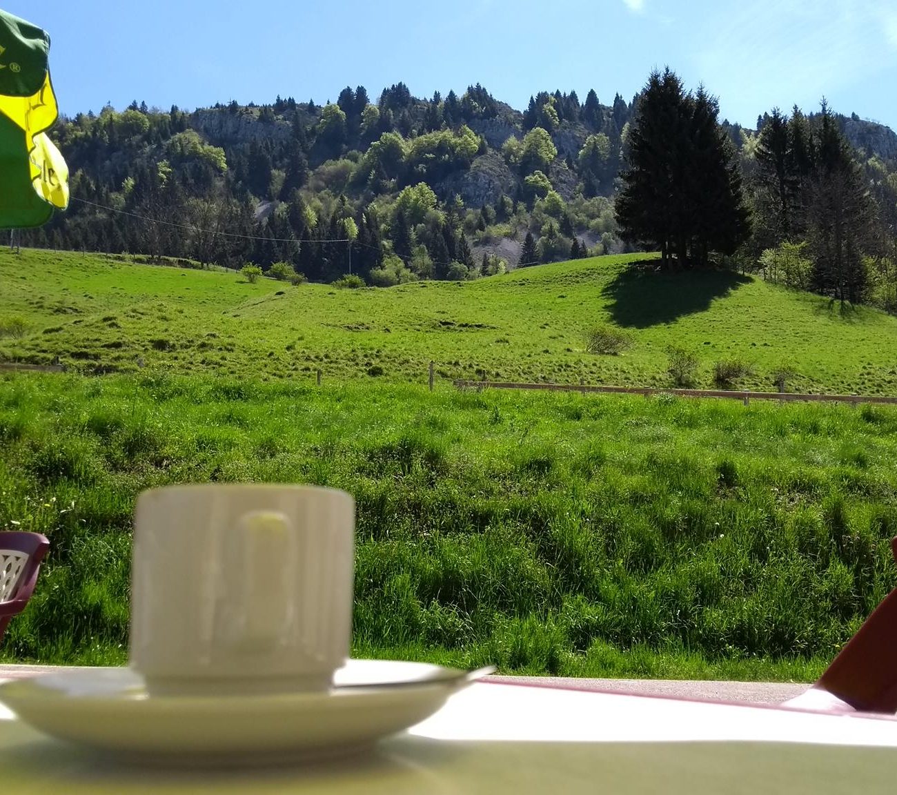 502375140_30204182919228204_8142462043793861768_n