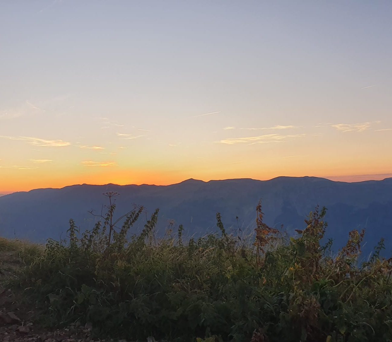 WhatsApp Image 2025-08-25 à 09.07.54_11504c3b