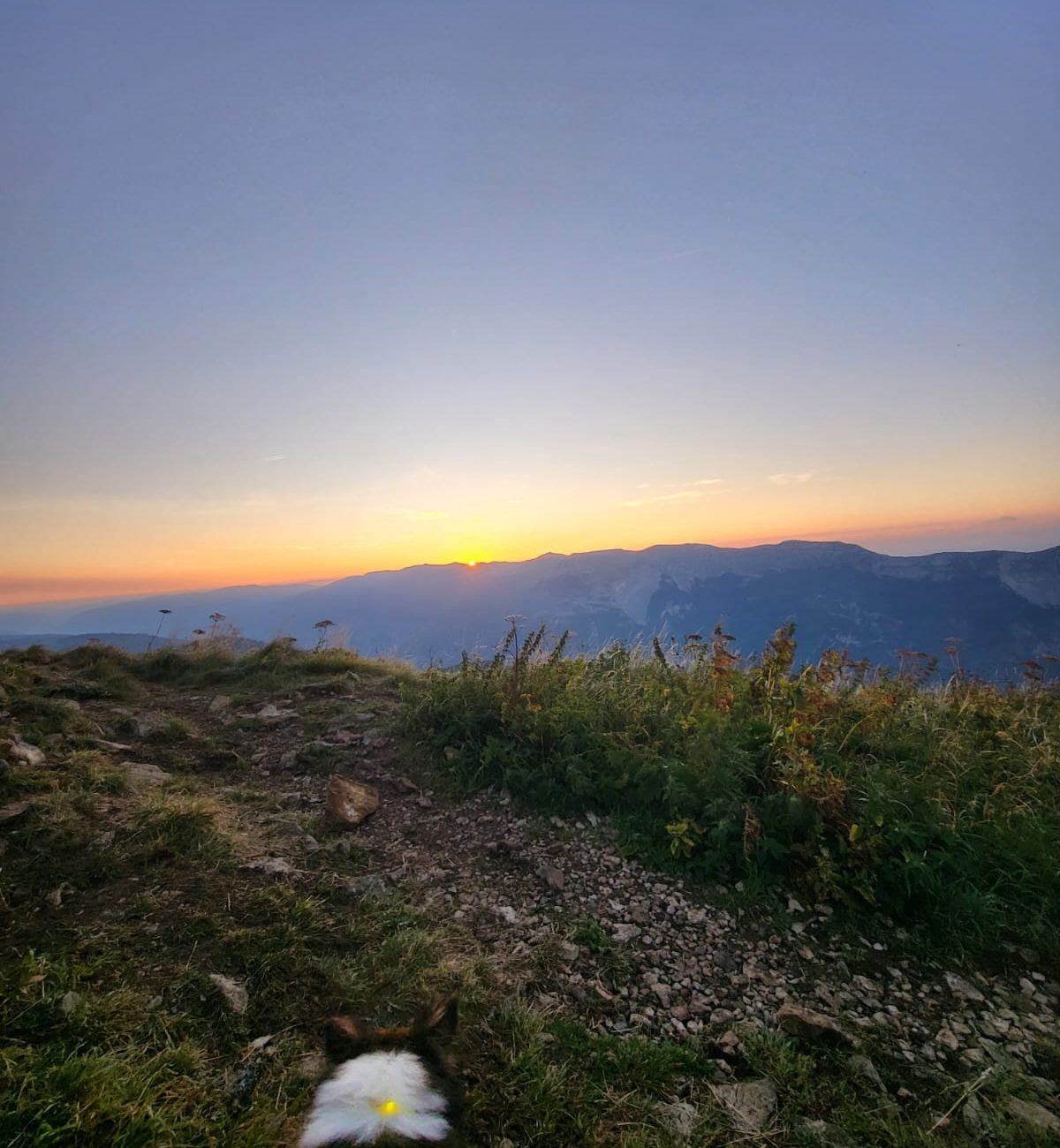 WhatsApp Image 2025-08-25 à 09.18.51_86619ec7