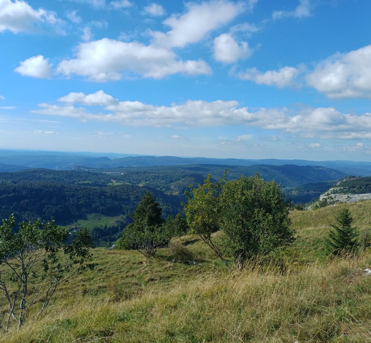 WhatsApp Image 2025-08-25 à 09.30.08_274a2dc5