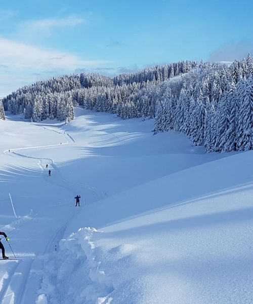 ski combe froide perso