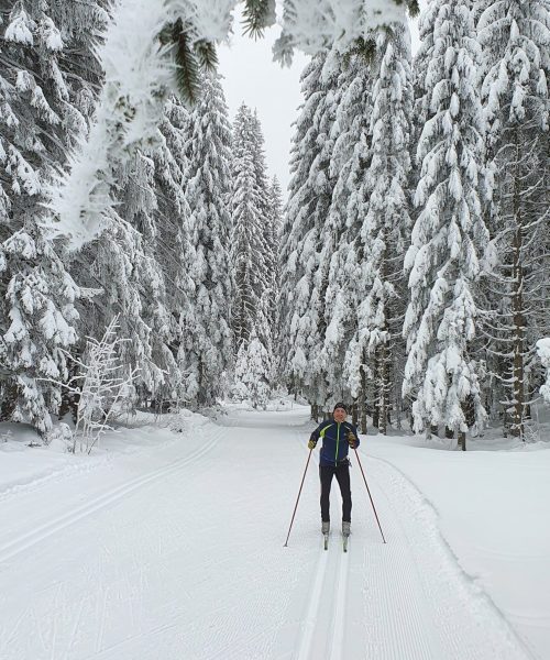 photo globale piste ski de fond avec homme au millieu des sapins