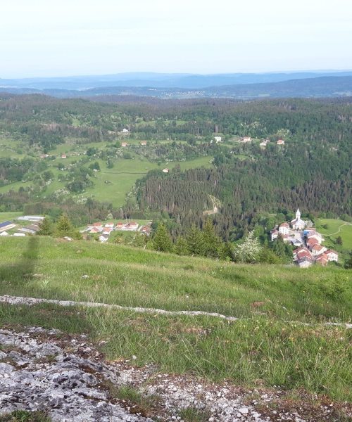 WhatsApp Image 2025-03-02 à 15.52.07_644e5930