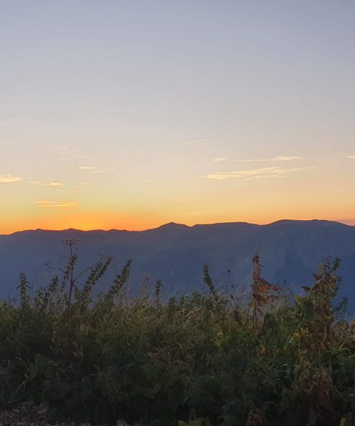 WhatsApp Image 2025-08-25 à 09.07.54_11504c3b